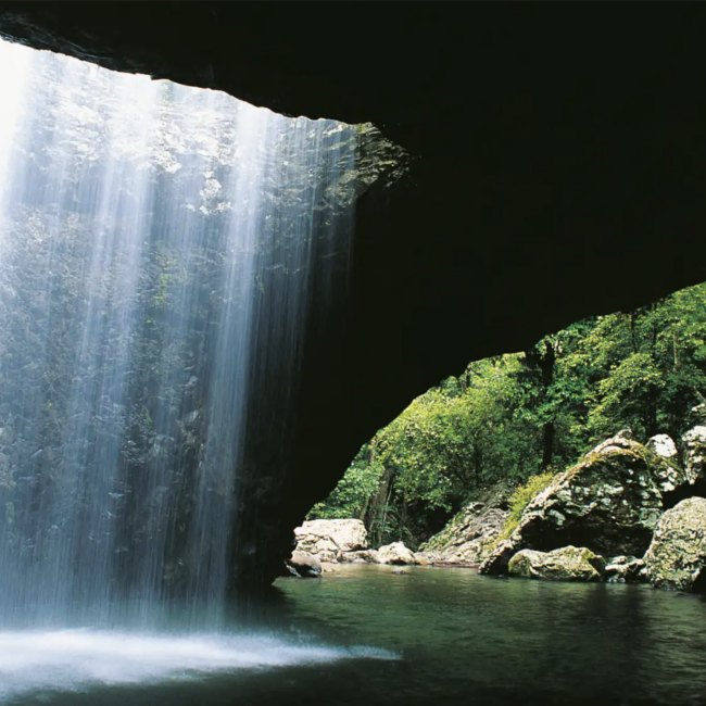 Natural Bridge & Springbrook Waterfalls Tour 03